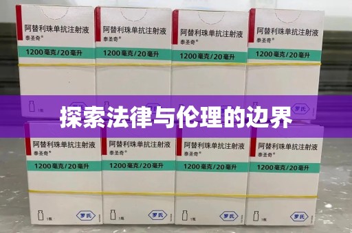桂林探索法律与伦理的边界