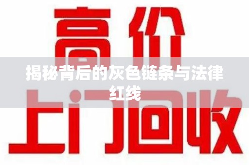 桂林揭秘背后的灰色链条与法律红线