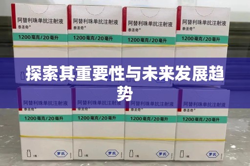 桂林探索其重要性与未来发展趋势