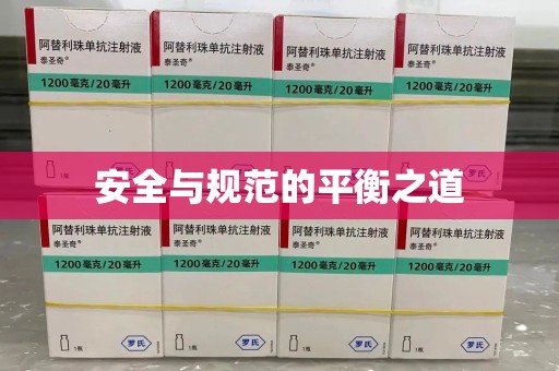 桂林安全与规范的平衡之道