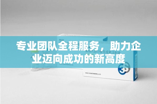 桂林专业团队全程服务，助力企业迈向成功的新高度